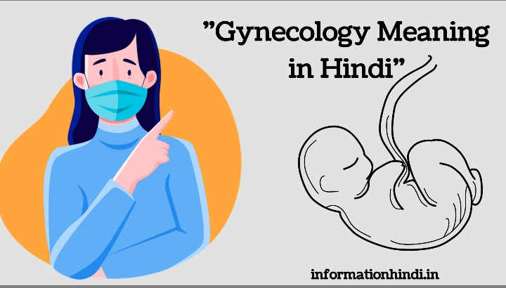 Gynaecology Meaning in Hindi