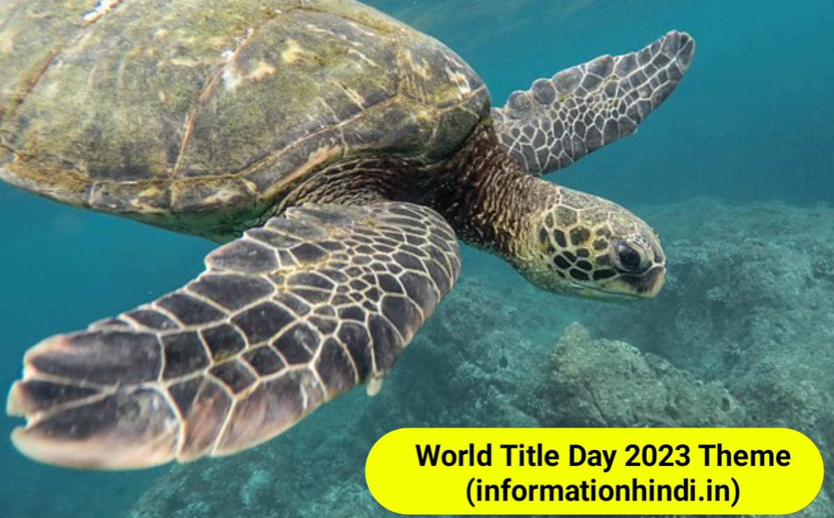 World Turtle Day 2023 Hindi