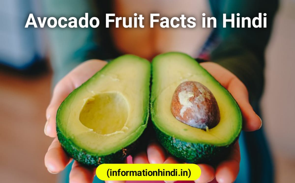 Avocado Nutrition Facts in Hindi