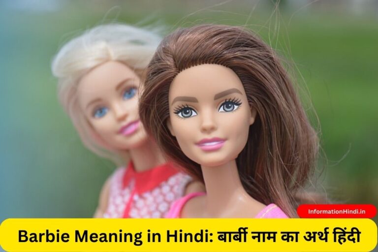 Barbie Meaning in Hindi: बार्बी नाम का अर्थ हिंदी