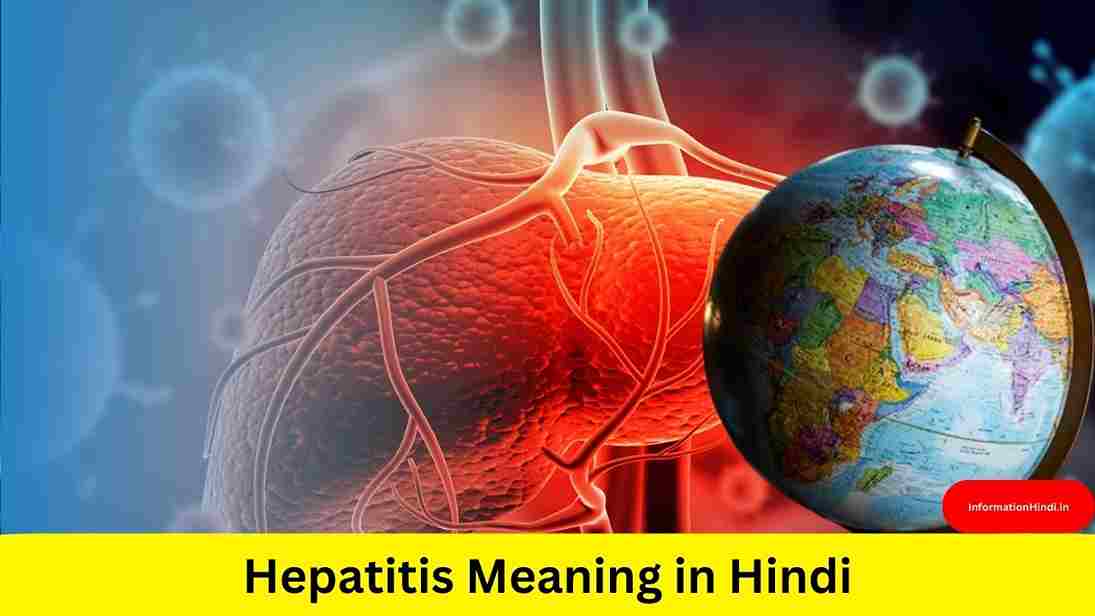 Hepatitis Meaning in Hindi