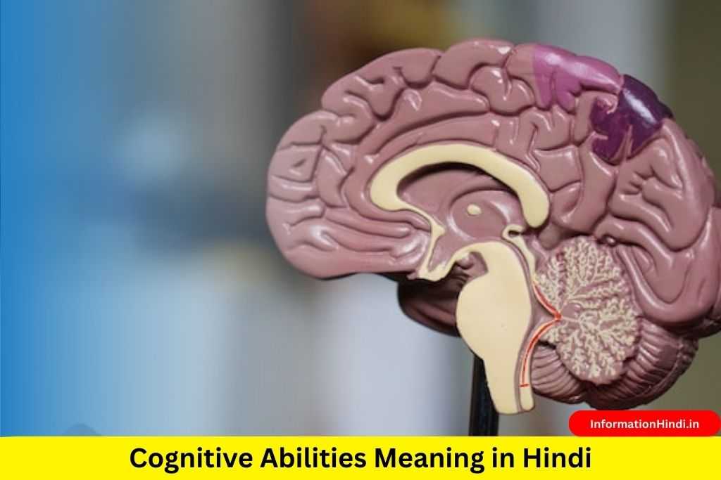 Cognitive Abilities Meaning in Hindi